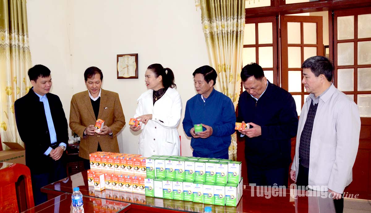 Thảo dược tuệ tâm