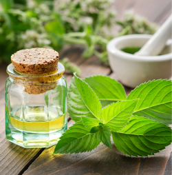 tinh dầu thảo dược
