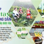 Tuệ tâm - Báo công thương