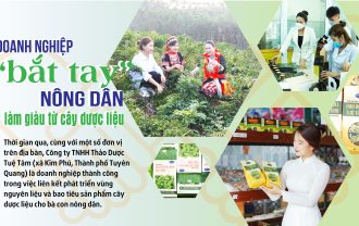 Tuệ tâm - Báo công thương