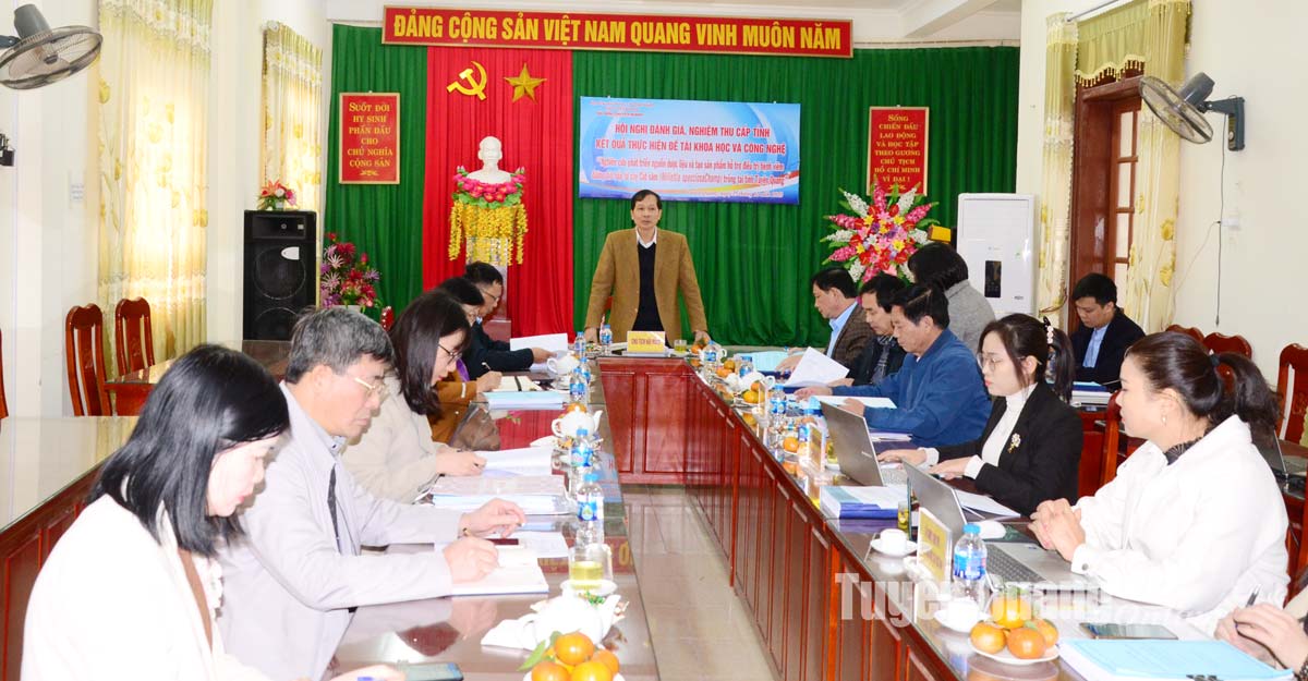 Thảo dược tuệ tâm